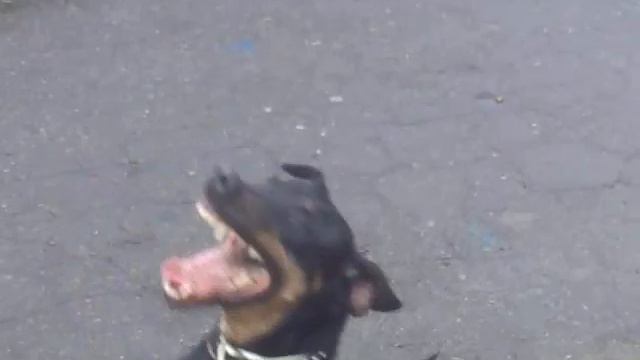 Сима. смотреть онлайн