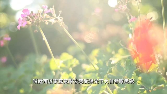 Acuvue Natural Remix (連詩雅篇） смотреть онлайн