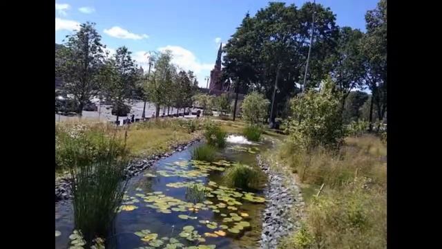 подборка фото . Москва