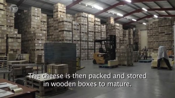 Производства сыра. Потрясающее  работники сыродельного завода.