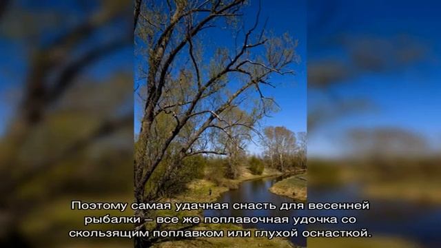Как поймать рыбу весной: секрет рыбака в 2017 году смотреть онлайн
