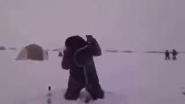 Приколи про рибалку 2020 #5