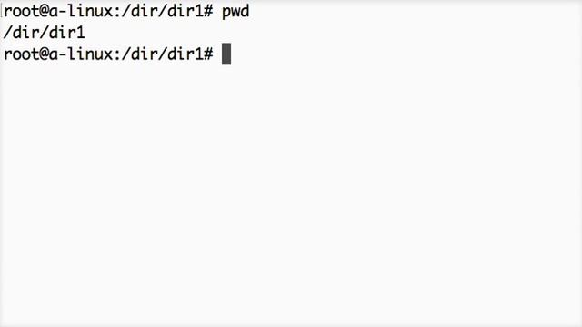 pwd смотреть онлайн
