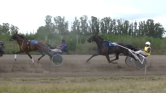 12-01-20 STAR BLACK AM MALVADO (Agustin Malvado) смотреть онлайн