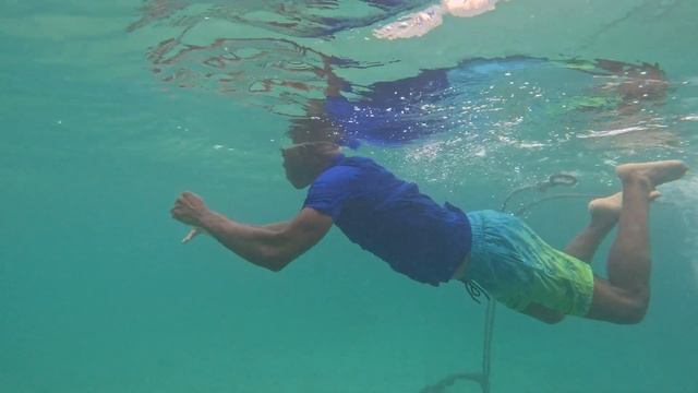 Passport Bro / Digital Nomad Swimming and Freediving back to shore from boat 🚢 смотреть онлайн
