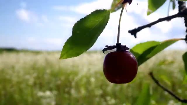 Гелиос 44 интервальная сьёмка смотреть онлайн