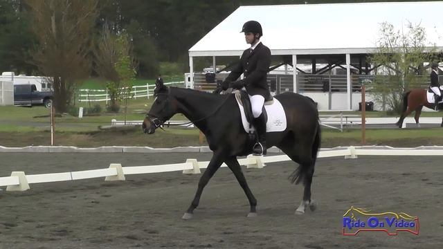 124D John Filer on Shockadelica Novice Dressage Spokane HT May 2017 смотреть онлайн