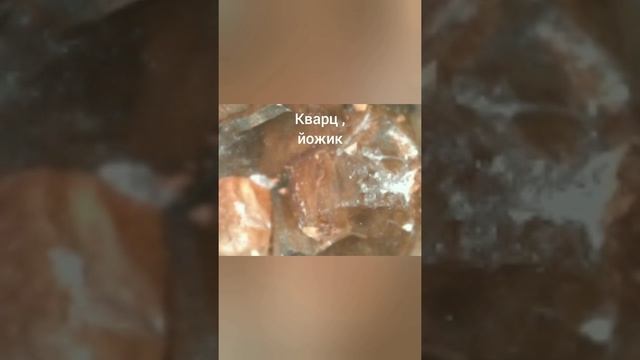 снимки с микроскопа🇺🇦🇺🇦🇺🇦🇺🇦😏