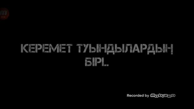 Жакында Тимурдын окигасы деген кино шыгады❤❤❤👍👍 кутиндер джиги😘💪😀👍 смотреть онлайн