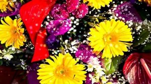 Музыкальный-клип. София Ротару - Нет Мне места в Твоём Сердце