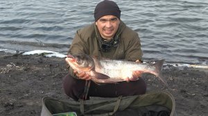 Ловля толстолоба в октябре