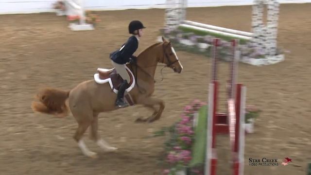 Natalie Coffin & Say Hello - Childrens Pony Htr Sunday - Ledges A1 Mar 2019 смотреть онлайн