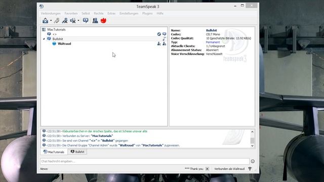 Teamspeak 3 Voice Changer [ENG/4K] смотреть онлайн
