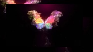 Футаж на черном фоне Бабочки/Futaj butterfly