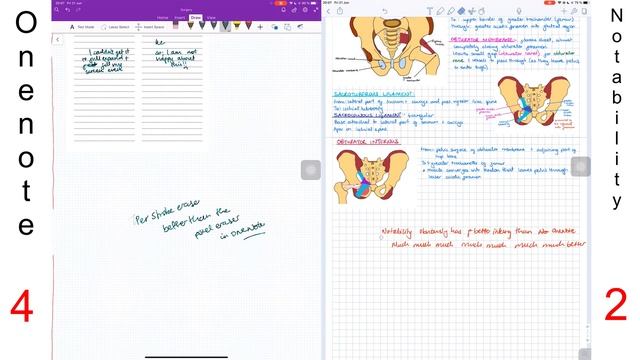 Notability vs OneNote: 2019 comparison смотреть онлайн