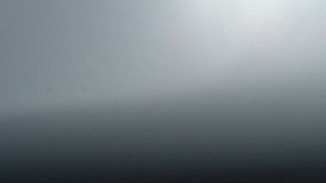 Seilwurm. Рост верёвочного червя в среде красного вина смотреть онлайн