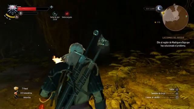 The Witcher 3: Wild Hunt_2015060617472 optimización смотреть онлайн