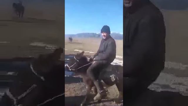 Алматы обл Панфилов ауданы Жаркент смотреть онлайн