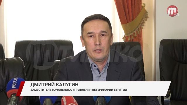 В столице Бурятии вновь объявили льготную стерилизацию смотреть онлайн