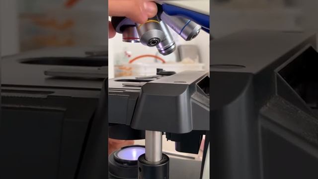 PENGENALAN MIKROSKOP 🔬 смотреть онлайн