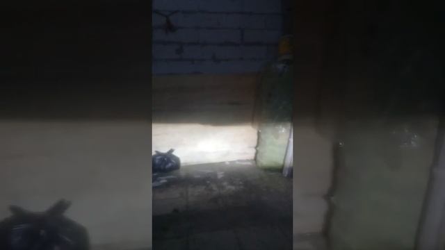 H4 Aes + Projie Led H1 Aes  2 Warna + Alis Aes