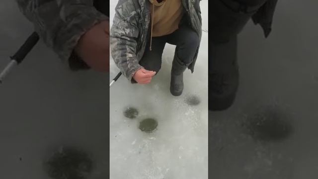 29 марта 2023 г. смотреть онлайн