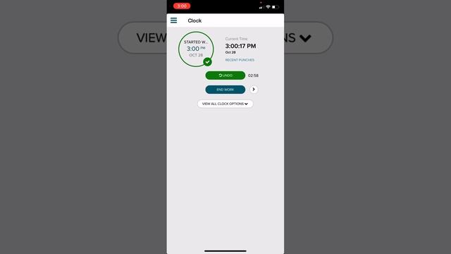 ADP Time Entering Tutorial смотреть онлайн
