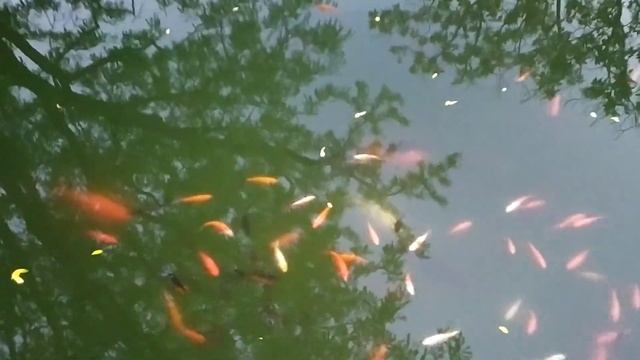 Алупка Воронцовский Дворец смотреть онлайн