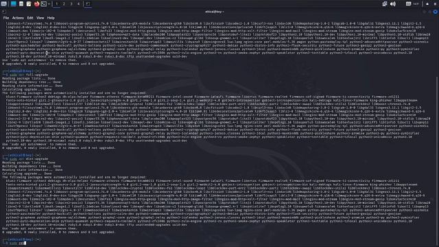 How to Update and Upgrade in Kali Linux Operating System Commands смотреть онлайн