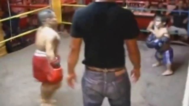 Super Boxing with Super cute people | LOL | YT trends смотреть онлайн