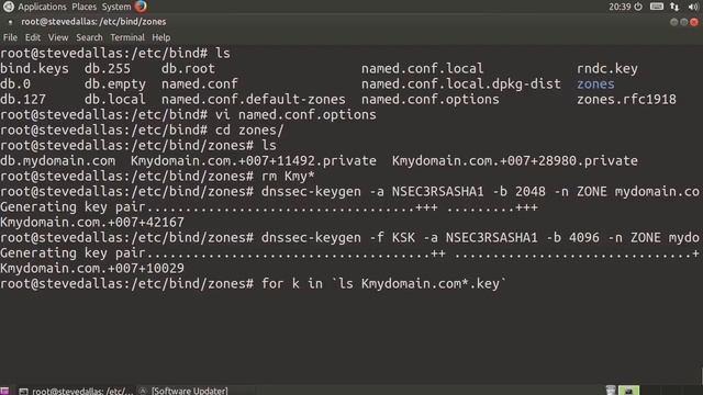 LINUX Security 03 09 DNSSec смотреть онлайн