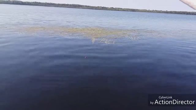 На озере не клюёт! смотреть онлайн