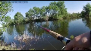 СЕКРЕТНАЯ УДОЧКА В ДЕЛЕ!  Ловля трофейного  сазана . Рыбалка в Астрахани 2024