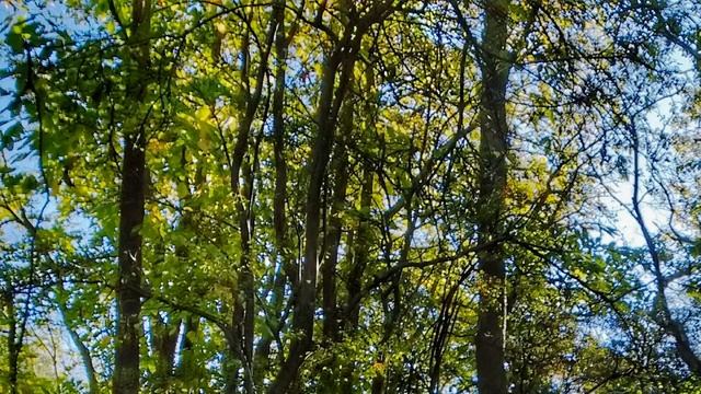 Windows 10 Fresh Start How it Helped me Out смотреть онлайн