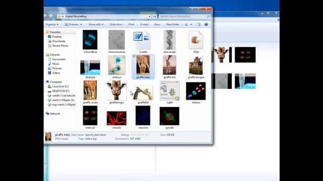 Windows Live Movie Maker Part 1 of 4: Overview and Adding Images смотреть онлайн