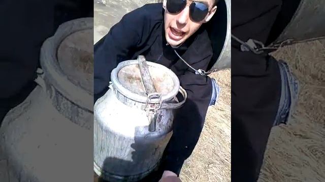 По катушки в телеге смотреть онлайн