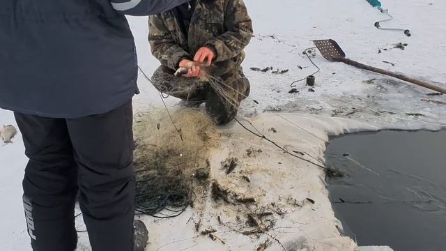 Выживание в деревне. смотреть онлайн