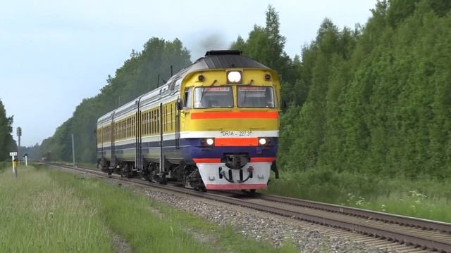 Дизель-поезд ДР1А-227 близ ст. Трепе / DR1A-227 DMU near Trepe station смотреть онлайн