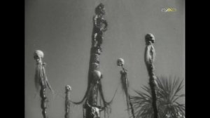 Работорговцы