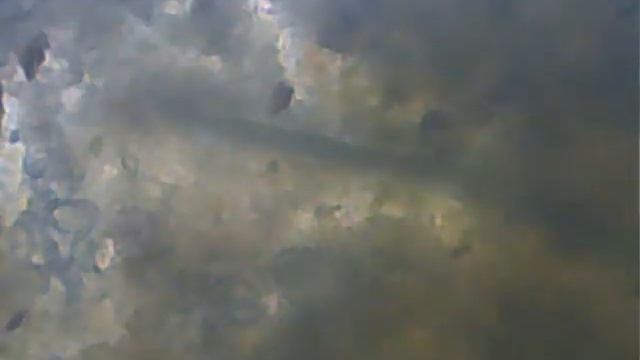 Próbka Nr 1 Powiększenie 100x