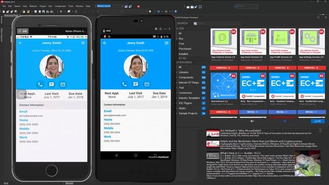 RAD Studio 10.2.3 Tokyo FireMonkey UI Templates смотреть онлайн