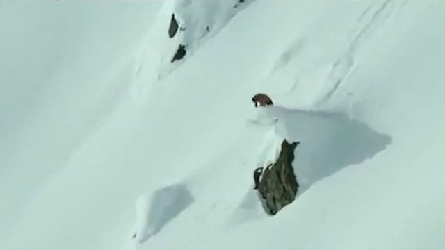 Oakley Snowboard Team Montage (Premiere Pro) смотреть онлайн