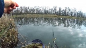 Ловля карася ранней весной