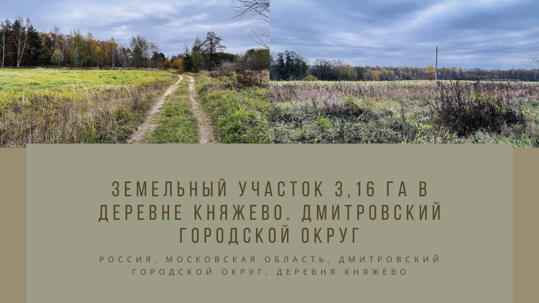 Земельный участок 3,16 га в деревне Княжево. Дмитровский городской округ