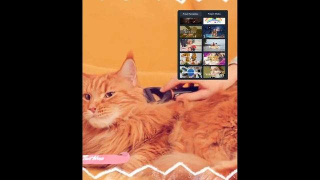 Try Free Wondershare Filmora Video Editing Tool // Video-1