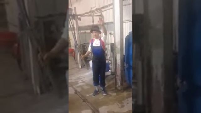 Мойка жукгв смотреть онлайн