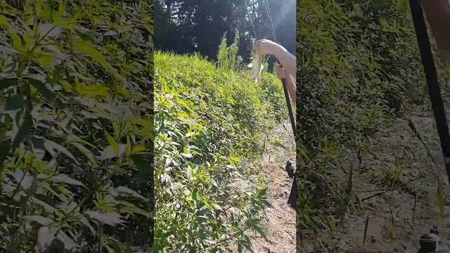 День рыбака😆👍 смотреть онлайн