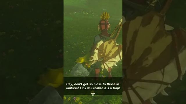 Link already realized it's a trap #tearsofthekingdom #zelda #switch смотреть онлайн