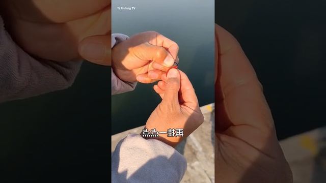 Amazing Asian Fishing Video 🐟 How to hang beads for herring fishing, the tutorial is here. The bea смотреть онлайн