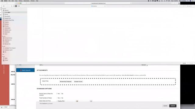 CUDA Staff Zoom Meeting: SkillsCommons - Bb Open Ed previews - Instructions and Checklist смотреть онлайн